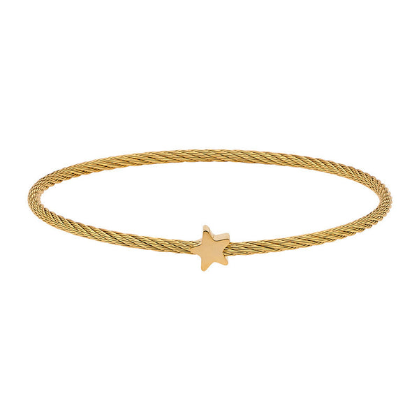 Georgini Steel Bangle