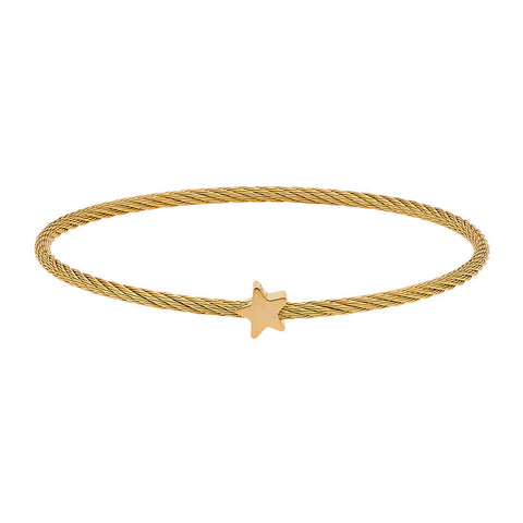 Georgini Steel Bangle