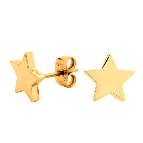 Georgini Steel Earrings