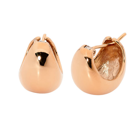 Georgini Steel Earrings