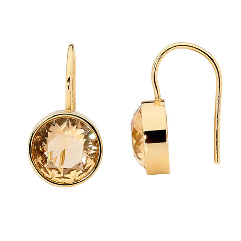 Georgini Steel Earrings