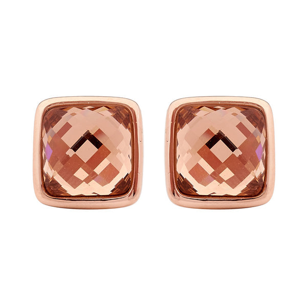 Georgini Steel Earrings