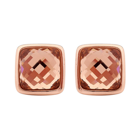 Georgini Steel Earrings