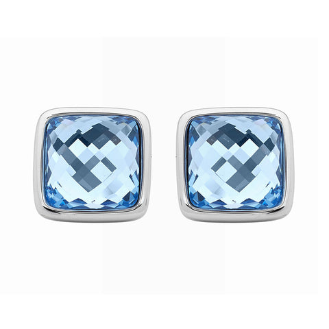 Georgini Steel Earrings