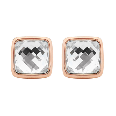 Georgini Steel Earrings