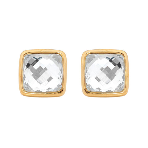 Georgini Steel Earrings