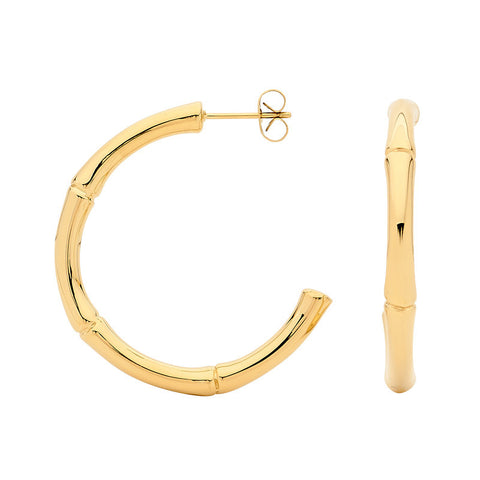 Georgini Steel Earrings