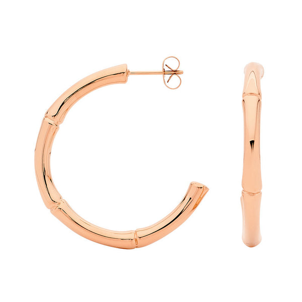 Georgini Steel Earrings