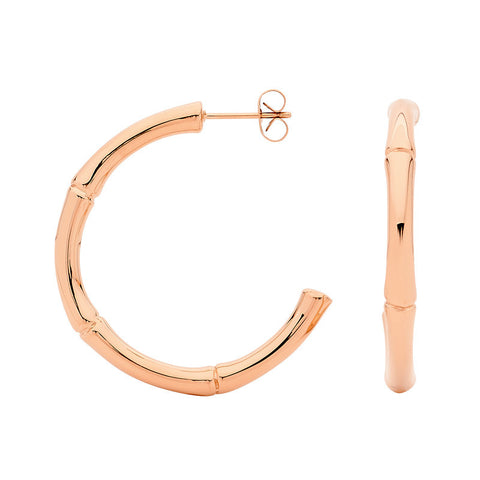 Georgini Steel Earrings