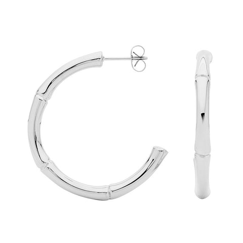 Georgini Steel Earrings